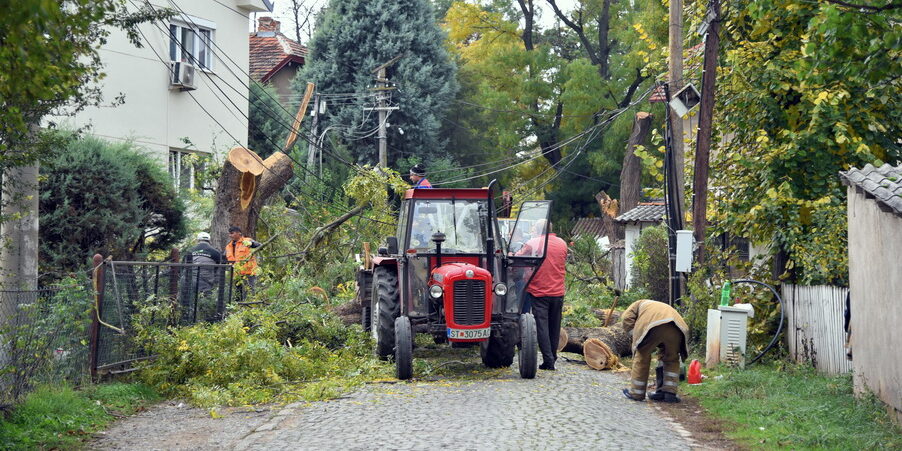 Zelenilo-Makedonka-02